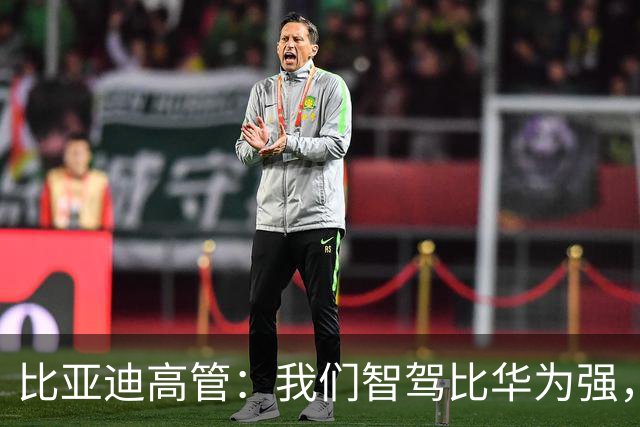 比亚迪高管：我们智驾比华为强，可惜没人愿意相信